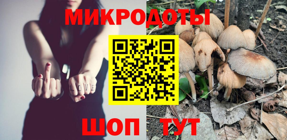 Псилоцибиновые грибы Psilocybine cubensis Златоуст