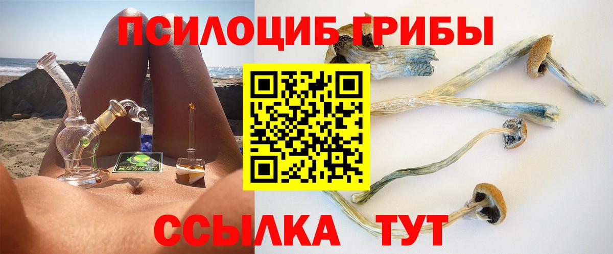 Златоуст  Галлюциногенные грибы Cubensis  Вход с VPN 